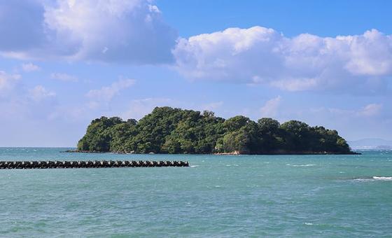 博物学の巨匠・南方熊楠を訪ねて 南紀 [和歌山県]